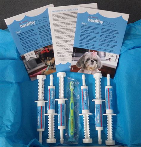 healthymouth toothpaste/brush kit combination for cats
